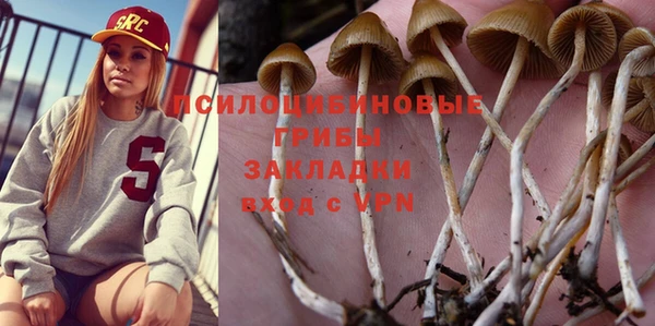 дурь Балахна