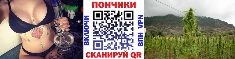 Марихуана семена  Пыть-Ях 